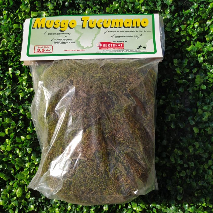 Musgo verde Tucumano (3.5dm, 30dm)