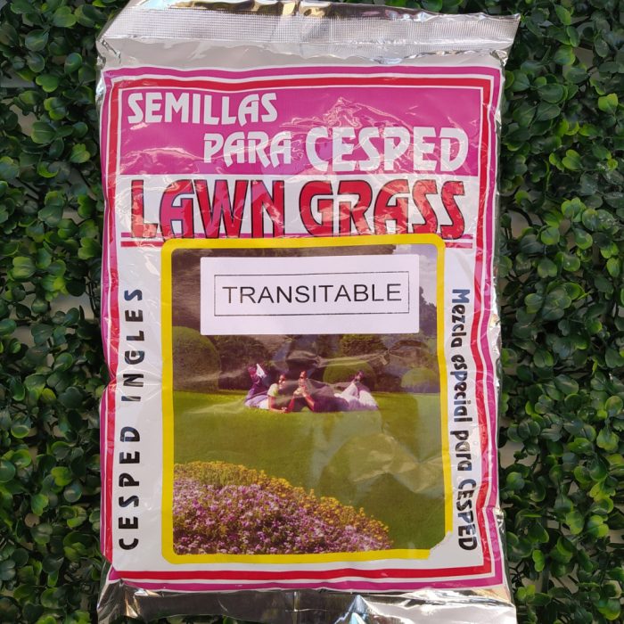 Cesped «TRANSITABLE» Lawn Grass x500gr