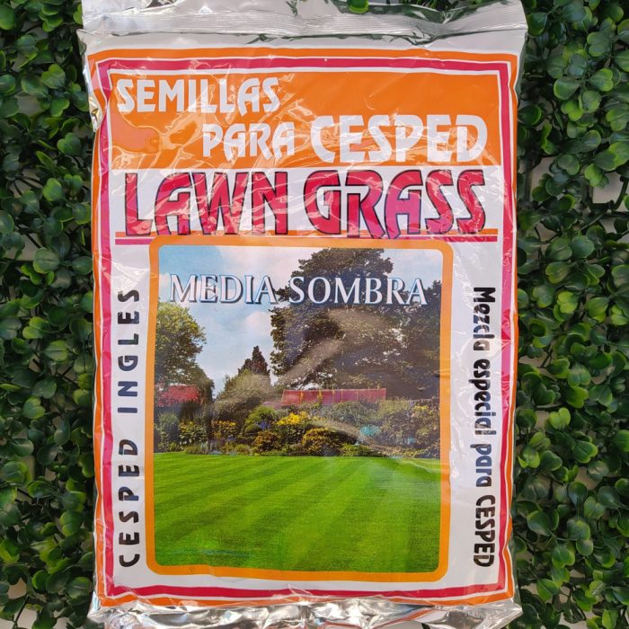 Cesped «MEDIA SOMBRA» Lawn Grass x500gr